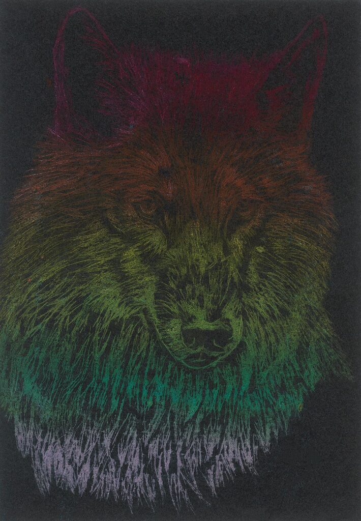 135fd89bb27f41dea4db72e7ae90cd57 710x1024