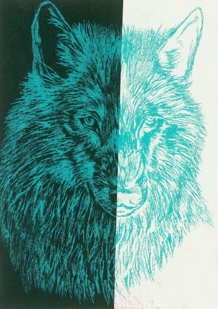 7a0a341c656d486db397294875b12f24 721x1024